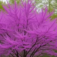 Discovering Honaker: Virginia's Charming Redbud Capital with Nature Trails and Vibrant Festivities