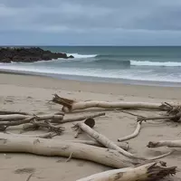 Oregon's Hidden Gem: Nedonna Beach Offers Affordable Coastal Charm Near Portland