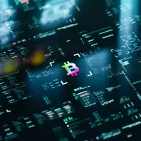 Bitcoin's Historical Performance: A Look Back at Digital Asset Growth