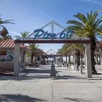 Clearwater: A Gem on Florida's Gulf Coast with Pristine Beaches and a Flourishing Art Scene