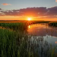 Ridgeland: A Historic Retreat in South Carolina's Lowcountry
