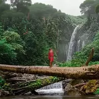 From the Amazon to the Alps: Premier Nature Adventures for Enthusiasts