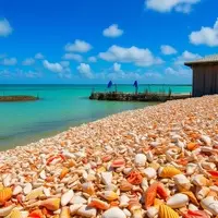 American Airlines Unveils Shortest International Route to Bimini, Bahamas