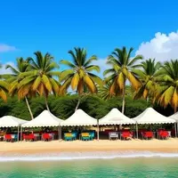 Martinique's Cruise Tourism Surges Significantly in 2025