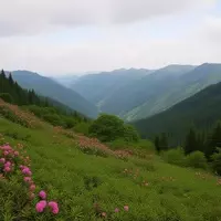 A Panoramic Journey Through Tennessee's Appalachian Highlands