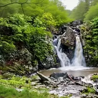 Exploring Mount Washington: A Nature Lover's Paradise in Massachusetts