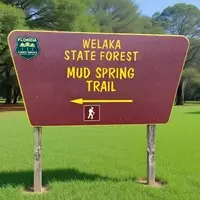 Welaka, Florida: Bass Fishing Capital with Pristine Springs