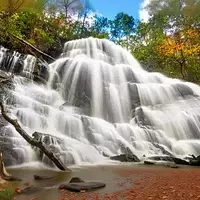 South Carolina's Hidden Gem: Yellow Branch Falls Trail