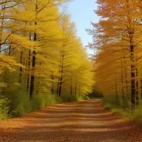 Discovering Tranquility: Sugar Island, Michigan's Hidden Gem