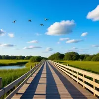 Grand Isle State Park: A Hidden Gem in Louisiana's Gulf Coast