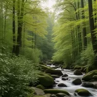 Discovering Lake Santeetlah: A Serene Escape in North Carolina's Smoky Mountains