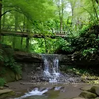 Glen Helen Nature Preserve: Ohio's Hidden Gem for Trails and Wildlife
