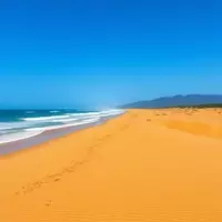 Exploring Tolowa Dunes: A Coastal Wilderness Gem in Northern California