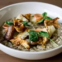 Unveiling Boston's Unexpected Wellness Oasis