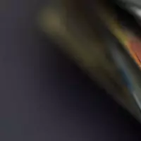 Insights from Extensive Credit Card Usage
