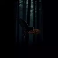 The Enduring Enigma of the Jersey Devil in the Pine Barrens