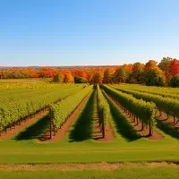 Michigan: America's Undiscovered Autumn Wonderland