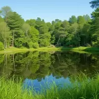 Antigo, Wisconsin: An Affordable Nature and Festival Haven