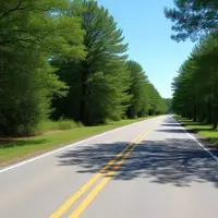 Discovering History and Nature Along South Carolina's Ashley River Road