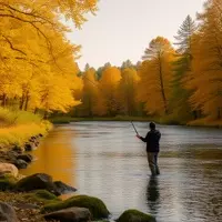 Maramec Spring Park: A Gem in Missouri's Ozarks for Outdoor Enthusiasts