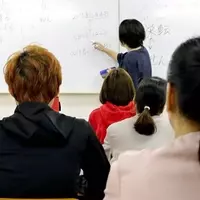 Japanese Courses Near Me: Learning Formats, Curriculum Scope, and Educational Context