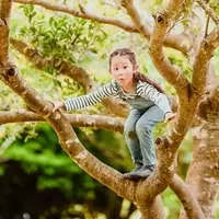Empowering Children: Alternative Phrases for 'Be Careful' in Risky Play