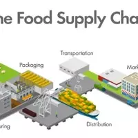 How Food Supply Chains Deliver Products from Farms to Supermarkets