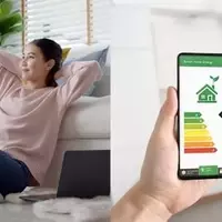 Watts Up? Your Ultimate Guide to Slashing Electricity Bills Without Living in the Dark