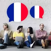 French Language Courses: A Systematic and Pedagogical Overview