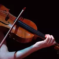 Violin Pedagogy: A Systematic and Technical Overview