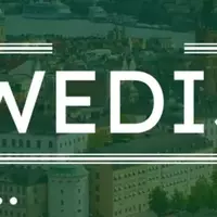 Online Swedish Language Courses: A Scientific Overview of Linguistic Background