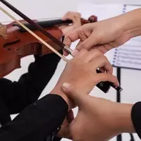 Violin Training: Concepts, Techniques, Pedagogy, and Perspectives