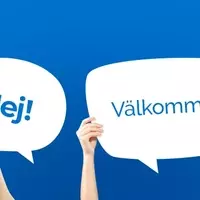 Swedish Language Courses: Linguistic Structure, Learning Mechanisms, and Educational Context
