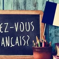 French Language Courses: Structure, Learning Mechanisms, and Educational Context