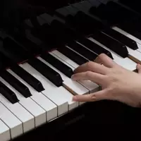 Piano Training: An Informational Overview