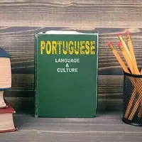 Portuguese Language Courses: Structure, Methodologies, and Educational Insights