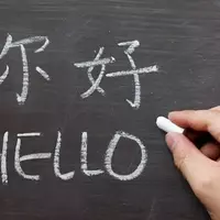 Chinese Language Courses: Foundations, Mechanisms, and Educational Context