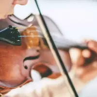 Violin Training: Fundamentals, Techniques, and Educational Approaches
