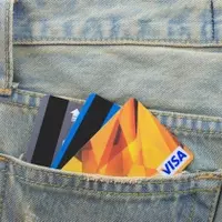 Visa's Market Position and Investment Outlook