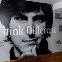 Steve Jobs' Vision for Google: Focus vs. Diversification