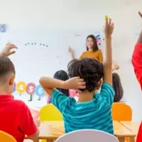 Children’s English Language Training: A Neutral Overview of Structure