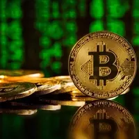Investors' Outlook on Bitcoin: A Shifting Perspective