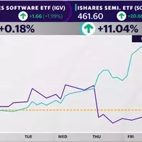 Software's Rally Fades as Chip Stocks Dominate Market