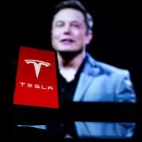Analyst Questions Tesla's Valuation Amidst FSD Progress Doubts