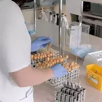Sun Pharma's Strategic Acquisition of Organon Boosts Global Pharmaceutical Presence