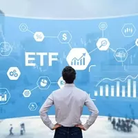 Comprehensive Diversification: The Appeal of the Vanguard Total Stock Market ETF
