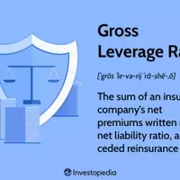 Understanding the Gross Leverage Ratio in Insurance