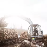 West Fraser Timber Faces Challenges Amidst Lumber Market Weakness