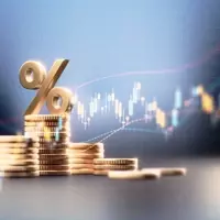 Understanding the Appeal of Income-Focused ETFs for Investors