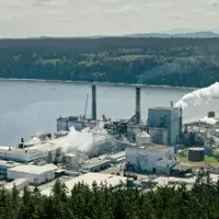 Smurfit Westrock's Q1 Performance and Future Outlook